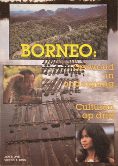 Borneo,Oerwoud in ondergang,Cultuur op drift