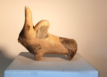 Harappan terracotta Stier