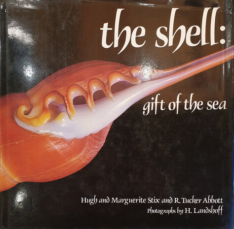 The Shell: Gift of the Sea