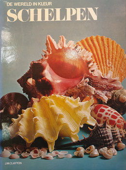 De wereld in kleur. Schelpen